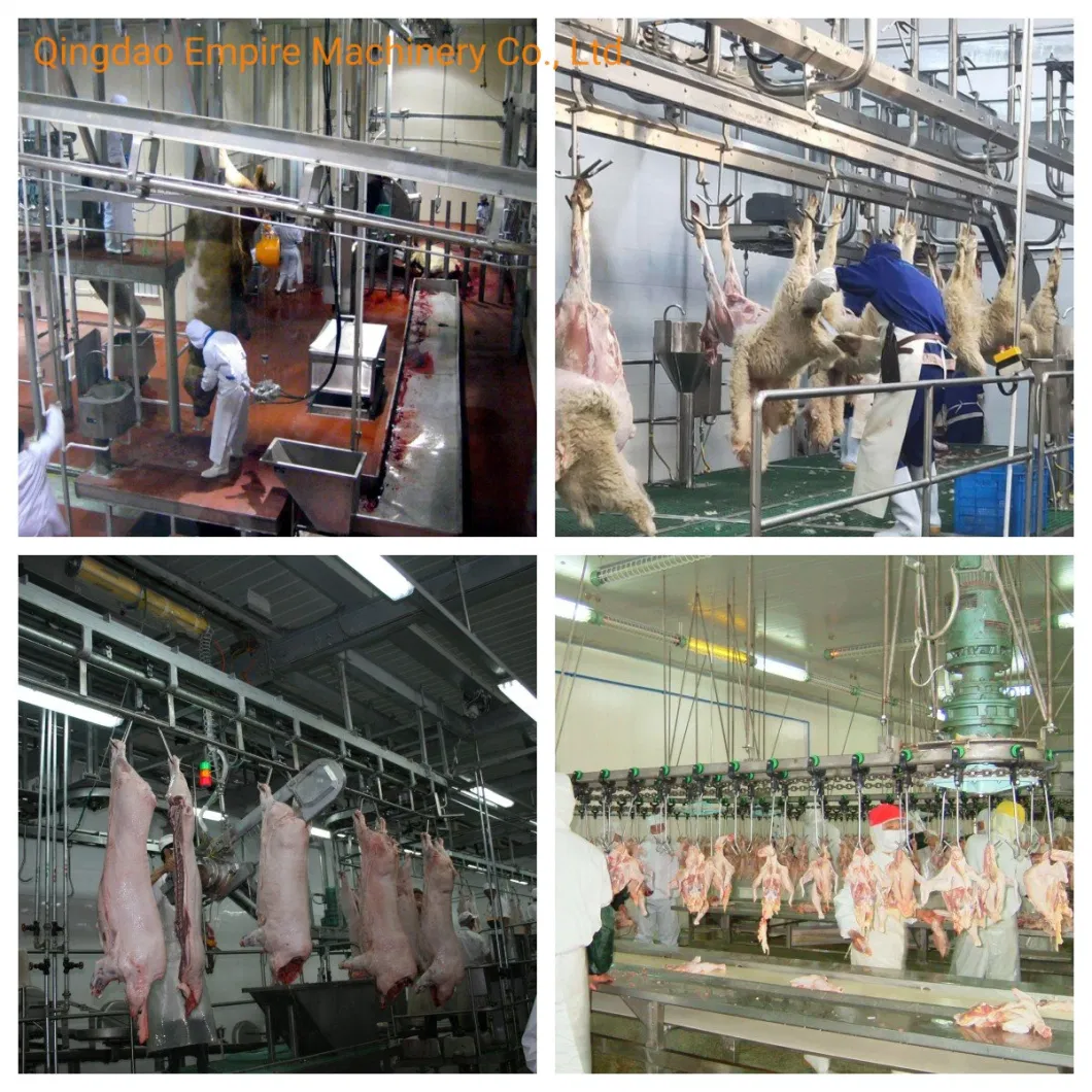 Motton Process Machine Sheep Slaughter Goat Abattoir Equipment