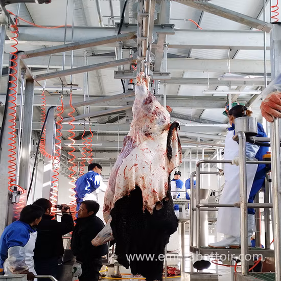 Qh300h 電気屠殺肉グラインダースライサー処理切断ラインファーム家禽鋸鶏魚牛豚屠殺機屠殺場機器