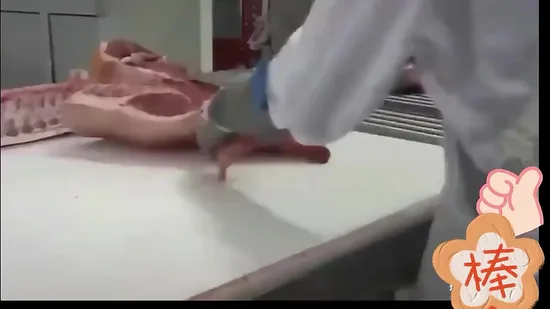 豚・牛・羊の屠殺設備・大量屠畜